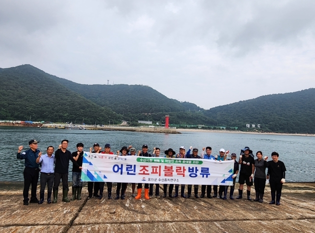 옹진군 수산종자연구소 어린 조피볼락 20만 마리 방류