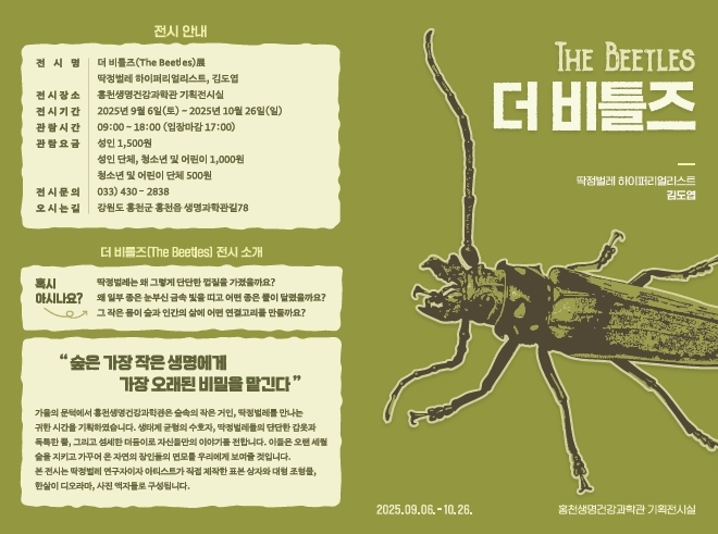 더비틀즈_리플렛 