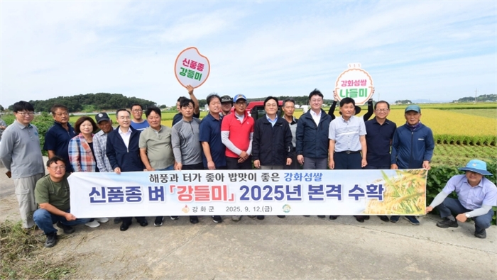 강화군, 강들미 추수현장
