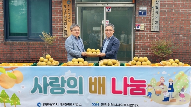 인천시, 장고개공원에서 수확한 배 700여 개 기부…시민과 결실 나눠