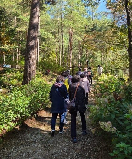 태백시, 치매환자·보호자 야외치유 프로그램 운영