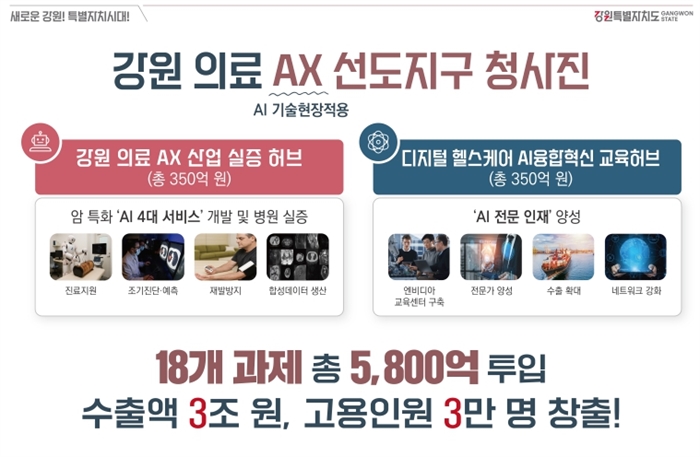 강원특별자치도, 의료 AX 선도지구 청사진 공개