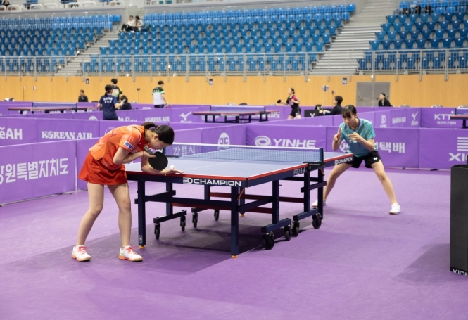 전문·생활체육 확대·체육 인프라 확충