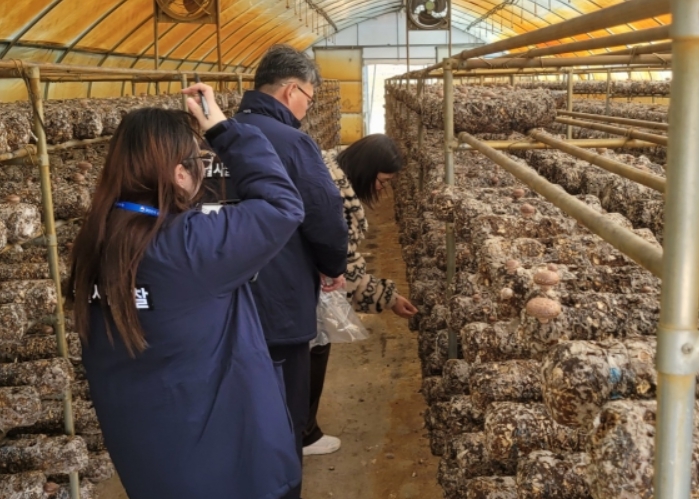 표고 생산농가 유통조사