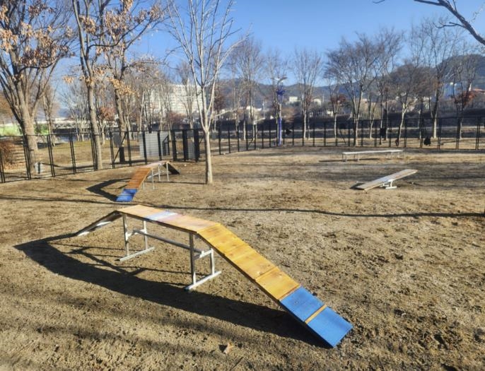 양구군, 반려견과 함께하는 '자연놀이터' 조성 완료