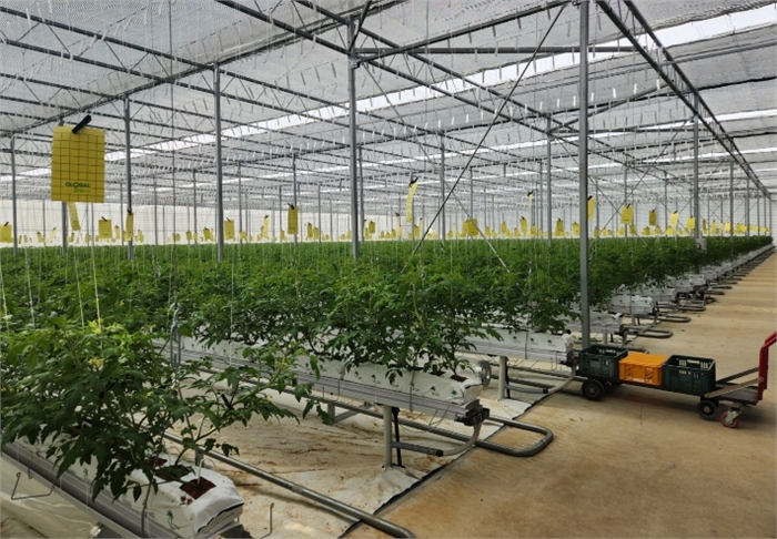 강화군, 올해 농업기술보급에 64억 투입… 첨단농업 전환 속도